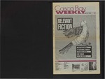 Casco Bay Weekly : 22 June 1989