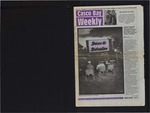 Casco Bay Weekly : 22 July 1993